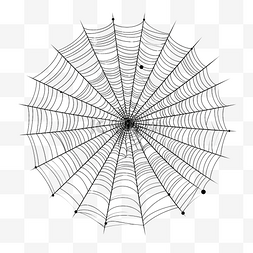 蜘蛛网万圣节蜘蛛网关闭线性手绘