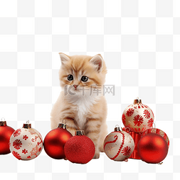 有小尾巴的图片_白色表面上有圣诞装饰品的小猫