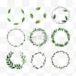 用植物叶子装饰的一组框架或圆形