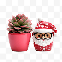 粉色植物盆栽图片_圣诞节对象概念