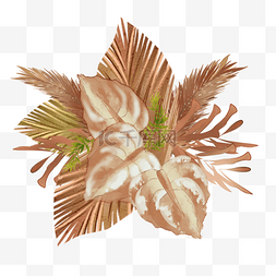 蒲苇花水彩植物