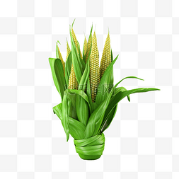 绿草田上玉米的 3D 渲染图像