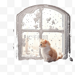下雪的窗图片_好奇的小猫透过窗户看着一只有趣