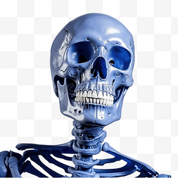 蓝色骨骼人体图片_经典蓝色深色的假骨架