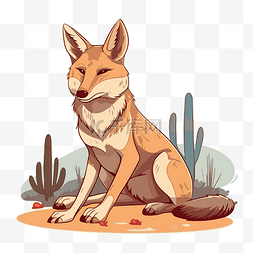 郊狼剪贴画 狐狸坐在沙漠卡通中