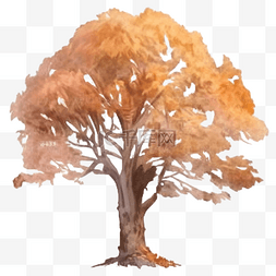 数字生态图片_秋天的树水彩画