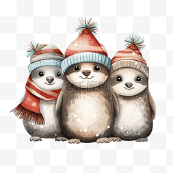 带围巾的企鹅图片_圣诞快乐庆祝浣熊企鹅和僧海豹带