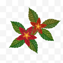 圣诞一品红花环植物装饰
