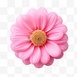 可愛卡片图片_粉紅色的可愛花