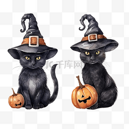 万圣节女巫帽子和黑猫的手绘水彩