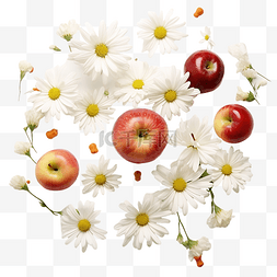 感恩节装饰用苹果