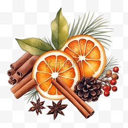 八角手绘图片_圣诞水彩组合物，含麦芽酒橙子和