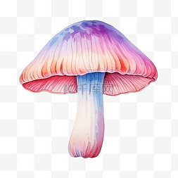 可爱的菌的图片_水彩多彩蘑菇