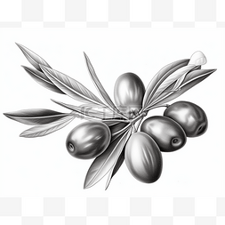 带叶子的橄榄图片_一束橄榄在带叶子的插图上的黑色