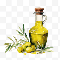 意大利橄榄油图片_水彩橄榄油