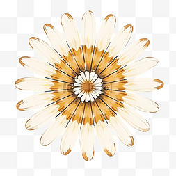 花 方形 线性 groovy 雏菊花