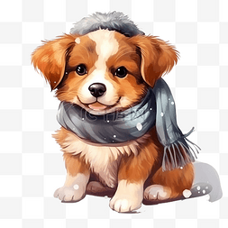 衣服品种图片_可爱的狗冬季动物