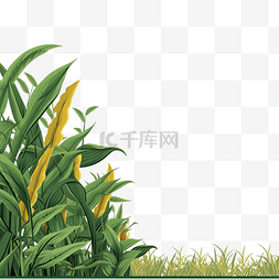 香蕉叶和黄草绿色植物的背景图
