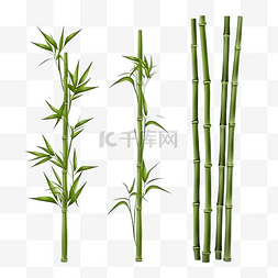 3d 插图竹子在自然中的设置