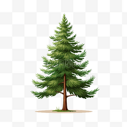 绿化平面素材图片_单棵松树平面物体png