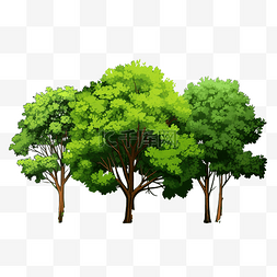 綠樹森林