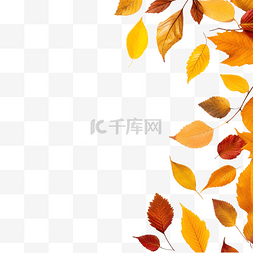 秋天的背景，背面有一组叶子