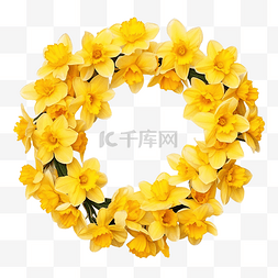 黄色水仙花的花环