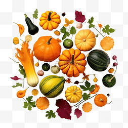 食物的成分表图片_感恩节和秋季