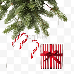 杉树枝上有圣诞礼品盒和拐杖糖
