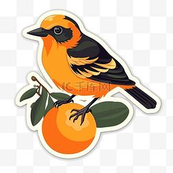 橙色植物上的彩色橙色鸟贴纸 向