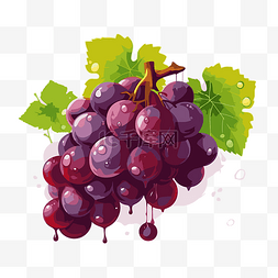 葡萄与酒图片_釀酒葡萄 向量
