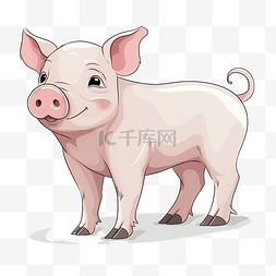 小胖猪图片_猪 动物 颜色