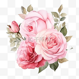 美丽玫瑰花图片_水彩美丽的英国玫瑰花花束花园广