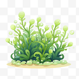 花和海洋图片_植物和海藻可爱卡通风格