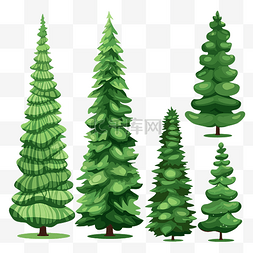 一排圣诞树剪贴画不同品种的绿松