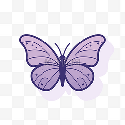 白色背景上有深色翅膀的紫色蝴蝶