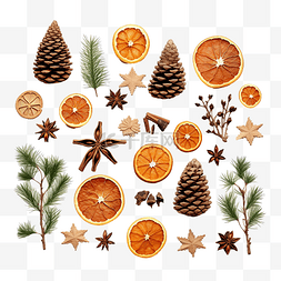 手树树枝图片_由干橙子制成的生态友好圣诞装饰