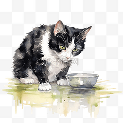 动物在自然中的图片_胖乎乎的黑白条纹猫在水彩画中吃