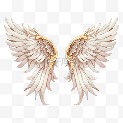 天使人图片_天使的翅膀 PNG 插图