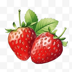 水果蔬菜透明素材图片_草莓新鲜水果插画彩画