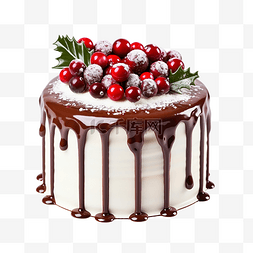 用小红莓装饰的圣诞蛋糕