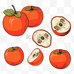 甜果实图片_柿子果实的插图与水果轮廓插图涂