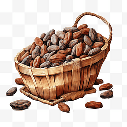 巧克力豆巧克力图片_柳条篮子里的水彩可可豆