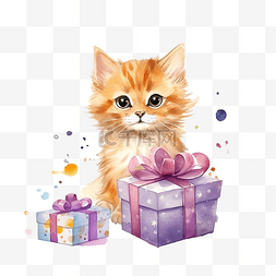 生日快乐猫有趣的猫猫插画水彩