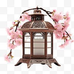 老日本灯笼樱花