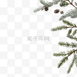 白色圣诞边框图片_圣诞节与树枝在白雪与复制空间