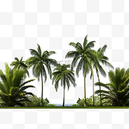 森林天空草地图片_草地上棕榈树前视图的 3ds 渲染图