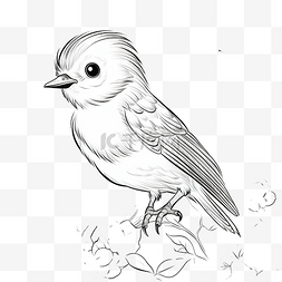 动物植物漫画图片_鸟卡通铅笔画风格花园里的动物和