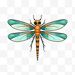 可爱的蜻蜓有翅膀的昆虫