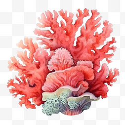 水彩珊瑚海洋
